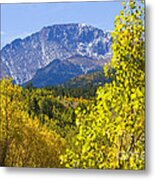 Crystal Creek Autumn Metal Print