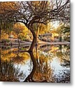 Curved Reflection Metal Print
