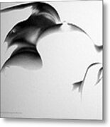 Curves Metal Print