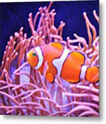 Cute Clown Fish Metal Print