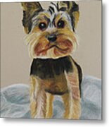 Cute Yorkie Metal Print