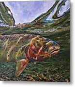 Cutthroat Hooked In The Ripple Metal Print