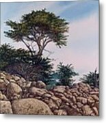 Cypress Garden Metal Print