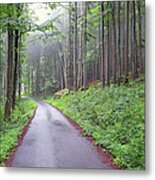 Czech Forest In Rain And Fog Metal Print