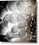 Dahlia Bubbles Metal Print