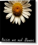 Daisies Are Not Flowers Metal Print