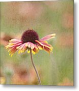 Dance Of Joy Metal Print