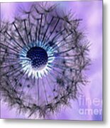 Dandelion 4 Metal Print