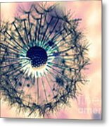 Dandelion 5 Metal Print