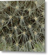 Dandelion Dance Metal Print