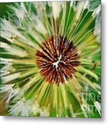 Dandelion Dreams Metal Print