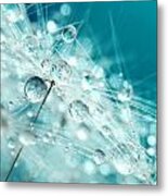 Dandy Starburst In Blue Metal Print