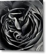 Dark Flower 15 Metal Print