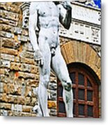 David Metal Print