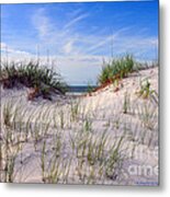 Dawn Dunes Metal Print