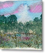 Dawn On The Marsh Metal Print