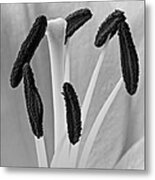 Day Lily Heart Metal Print