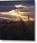 Days End Metal Print