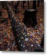 Dead Fall Metal Print