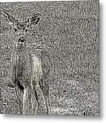 Dear Deer Metal Print