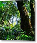 Deep In The Forest Metal Print