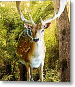 Deer Ferns Metal Print