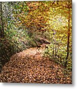 Deer In The Autumn Forest Metal Print