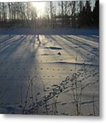 Deer Tracks On The River Metal Print