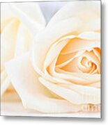 Delicate Beige Roses Metal Print