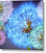 Delightful Dandelions Metal Print