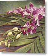 Dendrobium Orchids Metal Print