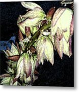 Desert Bloom 2 Metal Print