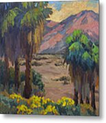Desert Marigolds At Andreas Canyon Metal Print