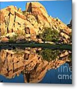 Desert Oasis Reflections Metal Print