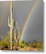 Desert Rainbow Metal Print