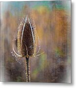 Dew And Thistle Metal Print