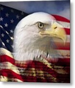 Digital Composite: American Bald Eagle And Flag Is Underlaid With The Handwriting Of The Us Constitution Metal Print