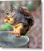 Dinner Time Metal Print