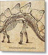 Dinosaur Stegosaurus Ungulatus Metal Print