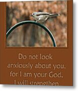 Do Not Look Anxiously About You Metal Print