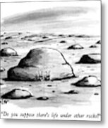 Do You Suppose There's Life Under Other Rocks? Metal Print