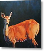 Doe At Stockade Metal Print