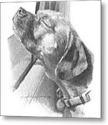 Dog Out Car Window Pencil Portrait Metal Print