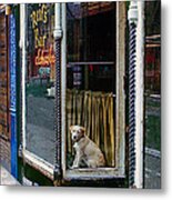 Doggy In The Window Version - 4 Metal Print