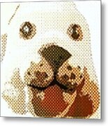 Dogs Head Metal Print