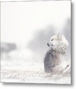 Dogs In The Storm Metal Print
