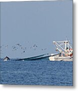 Dolphin Chase Metal Print