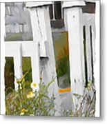 Don't Pick The Daisies Metal Print