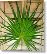 Door Decor Belize Style Metal Print