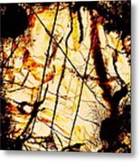 Door Of Perception Metal Print